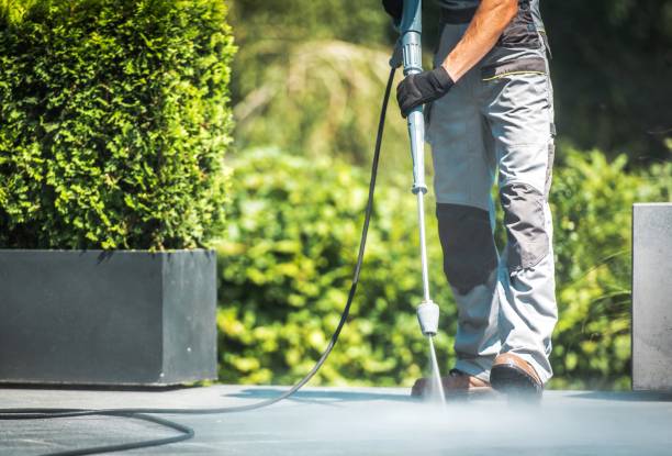 Best Roof Washing  in Richmond, IN